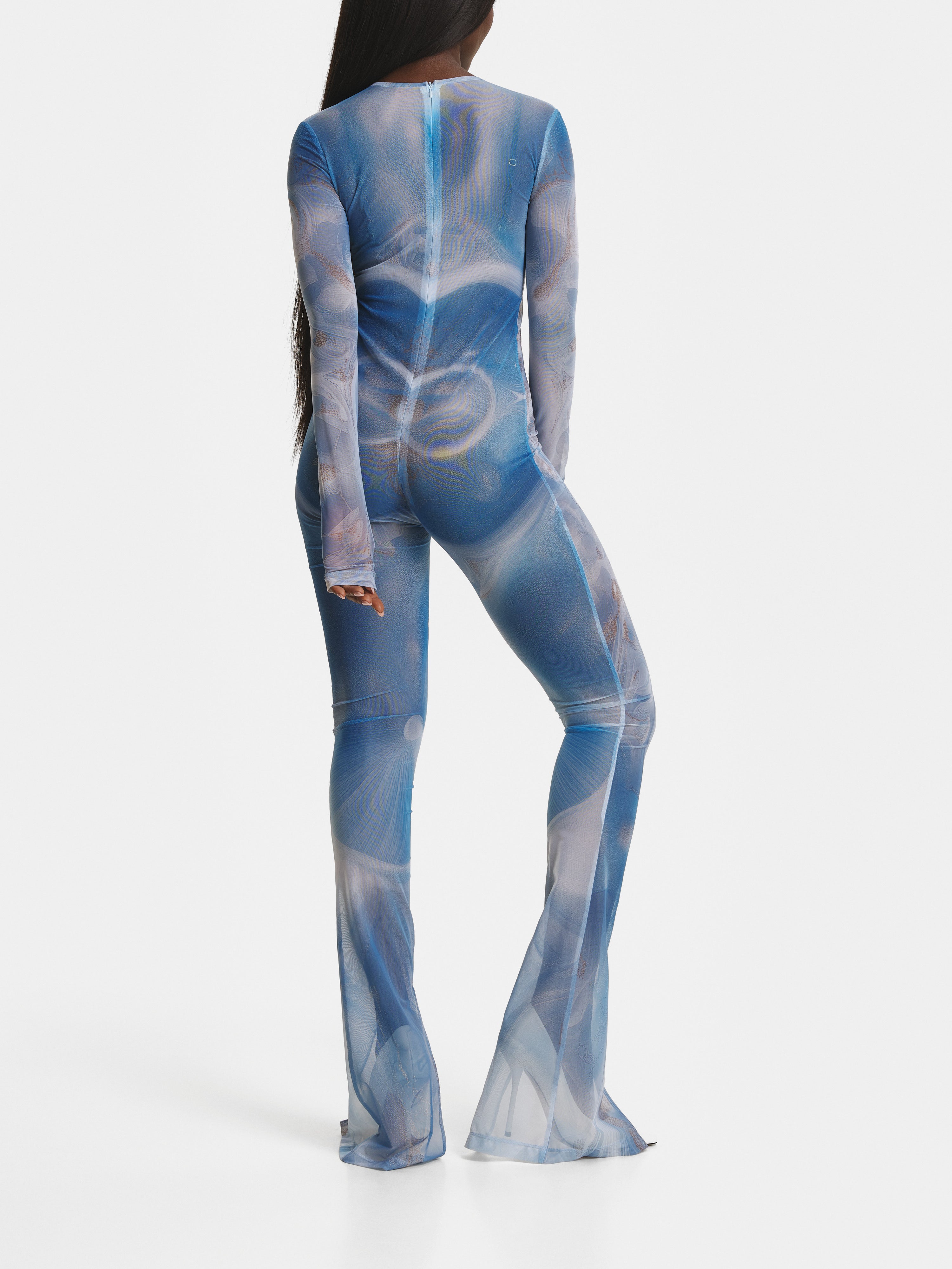 Blueprint Mesh Overall