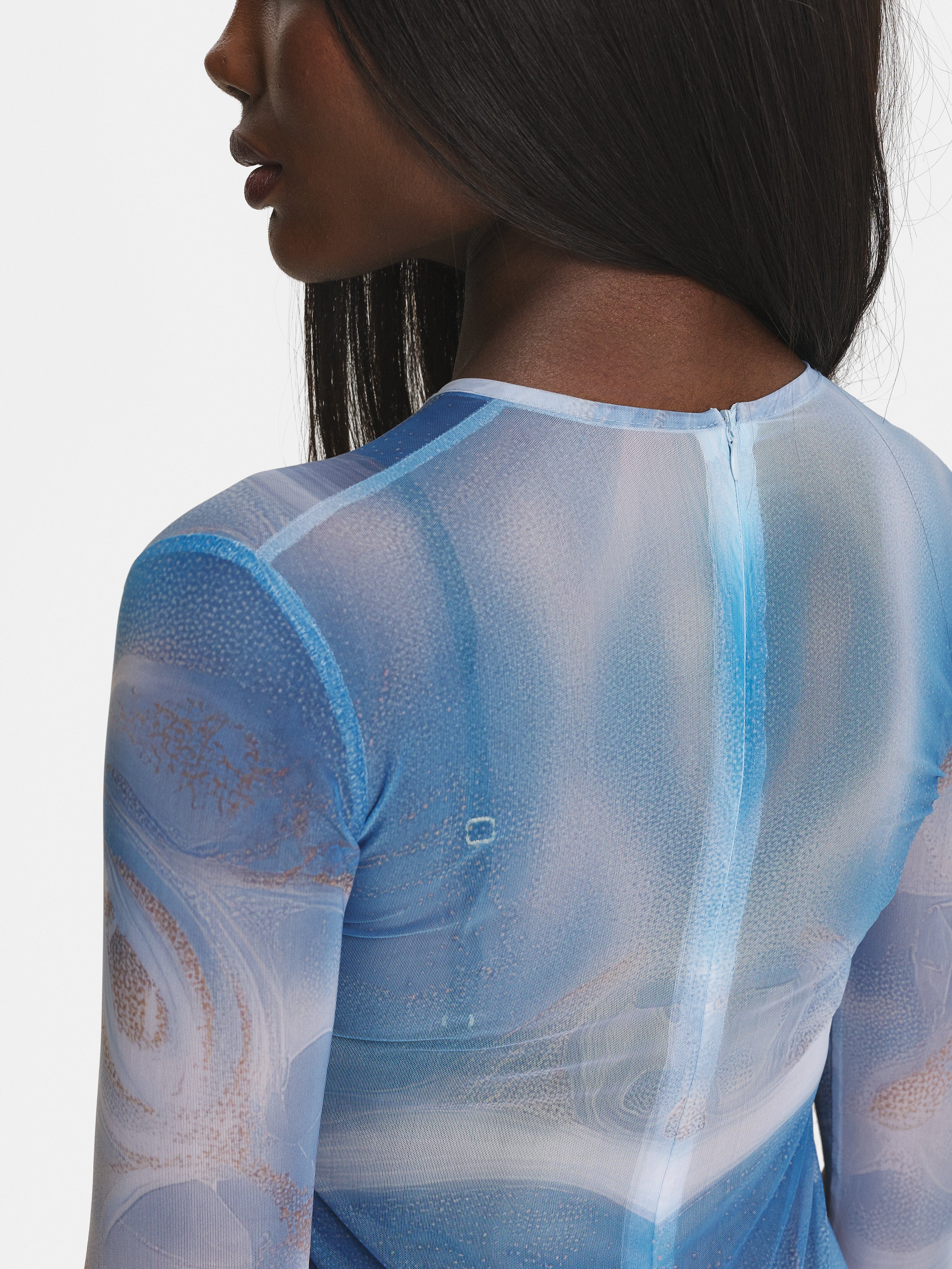 Blueprint Mesh Overall